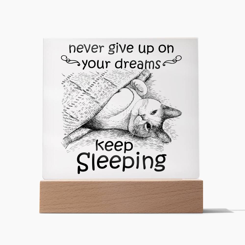 Never Give Up On Your Dreams Acrylic Plaque