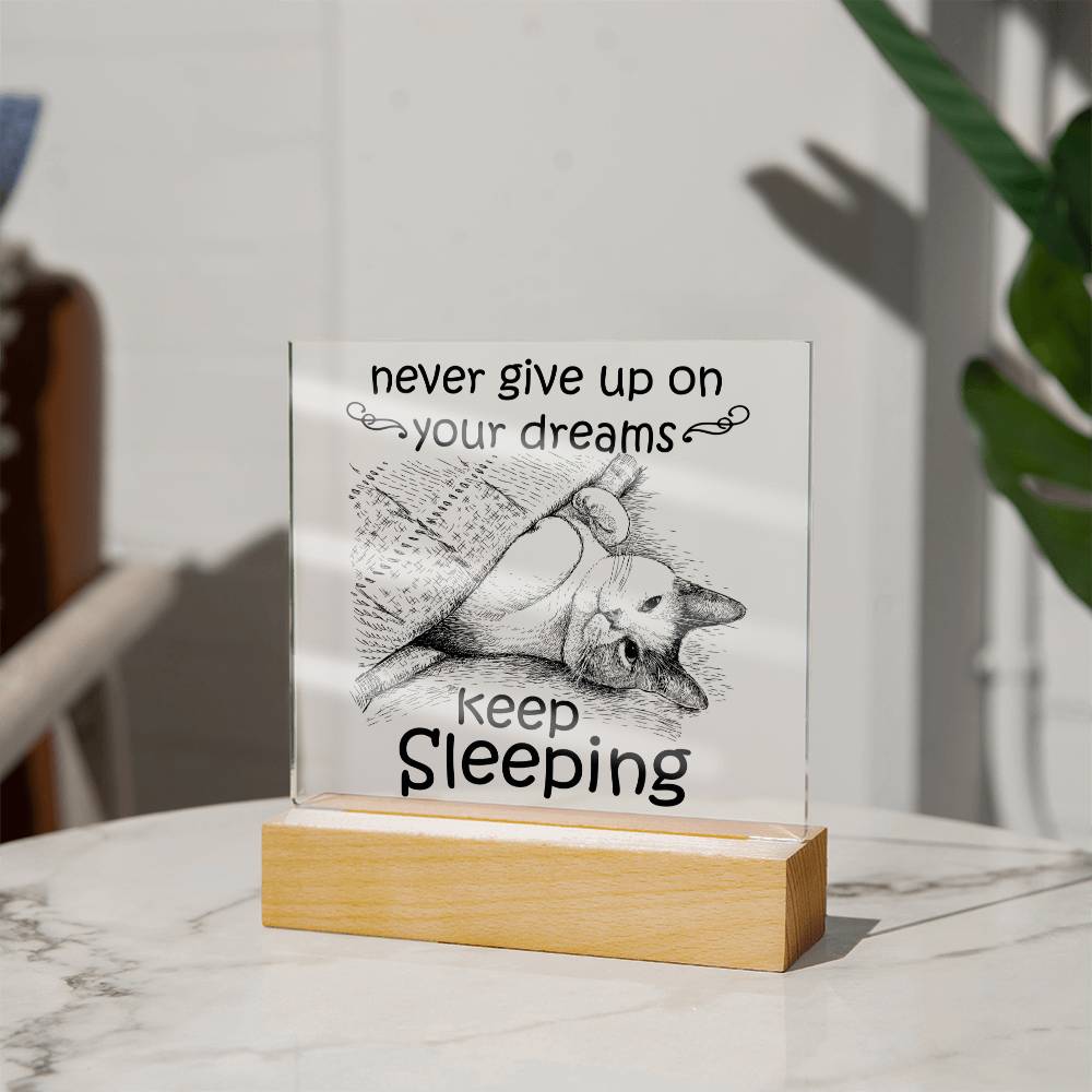 Never Give Up On Your Dreams Acrylic Plaque