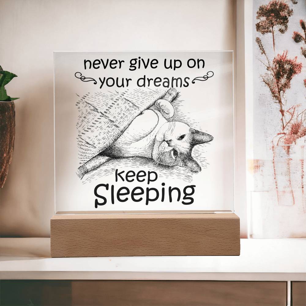 Never Give Up On Your Dreams Acrylic Plaque