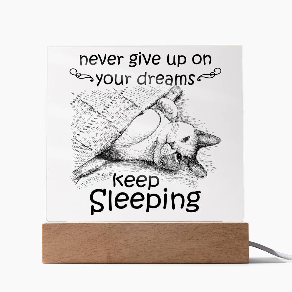 Never Give Up On Your Dreams Acrylic Plaque